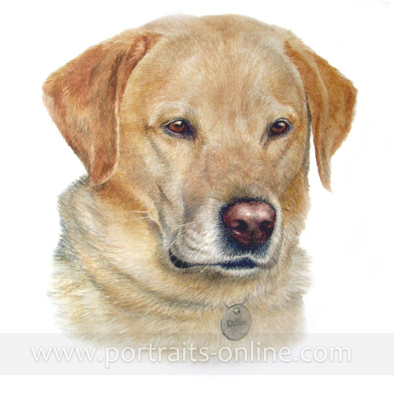 A watercolour portrait painting of a Labrador Retriever dog